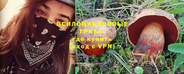 молекула духа Армянск