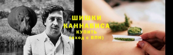 ПСИЛОЦИБИНОВЫЕ ГРИБЫ Аркадак
