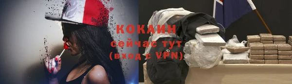 сатива Баксан