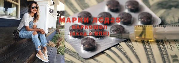 ПСИЛОЦИБИНОВЫЕ ГРИБЫ Аркадак